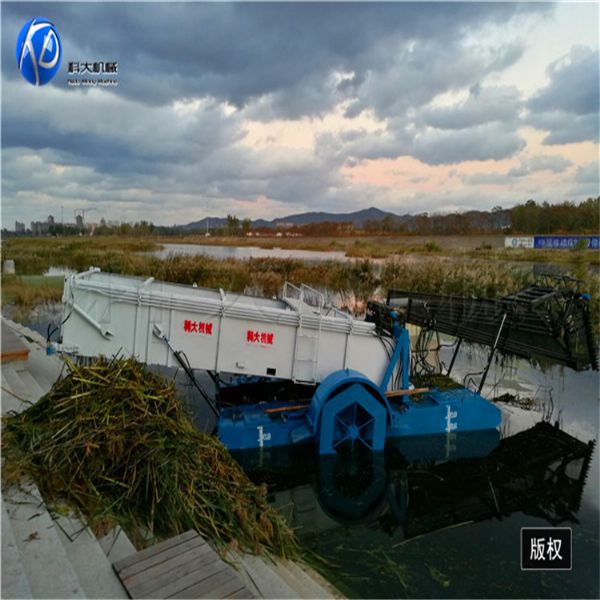 全自動蘆葦收割船現場視頻及圖片